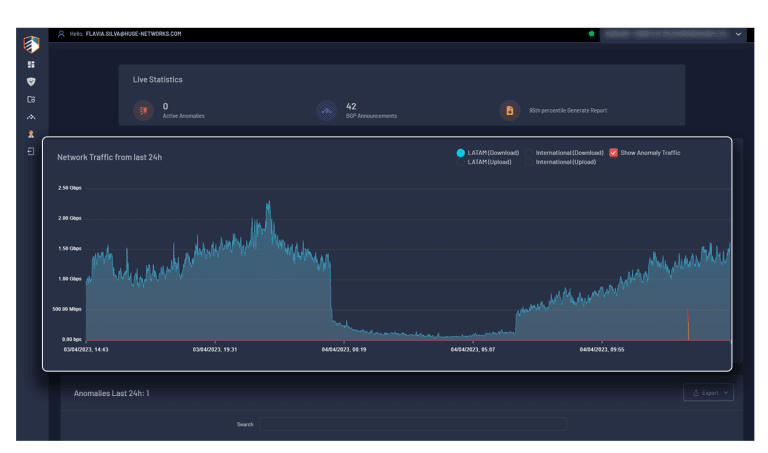 Networks Traffic HugeGuard