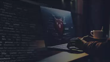 Provedor de acesso à internet (ISP) x DDoS